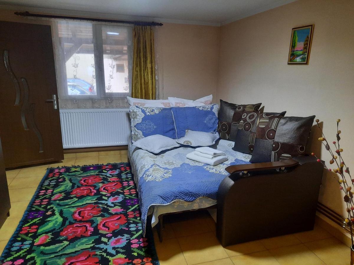 הוילה גורה הומורולווי Casa Andreia מראה חיצוני תמונה