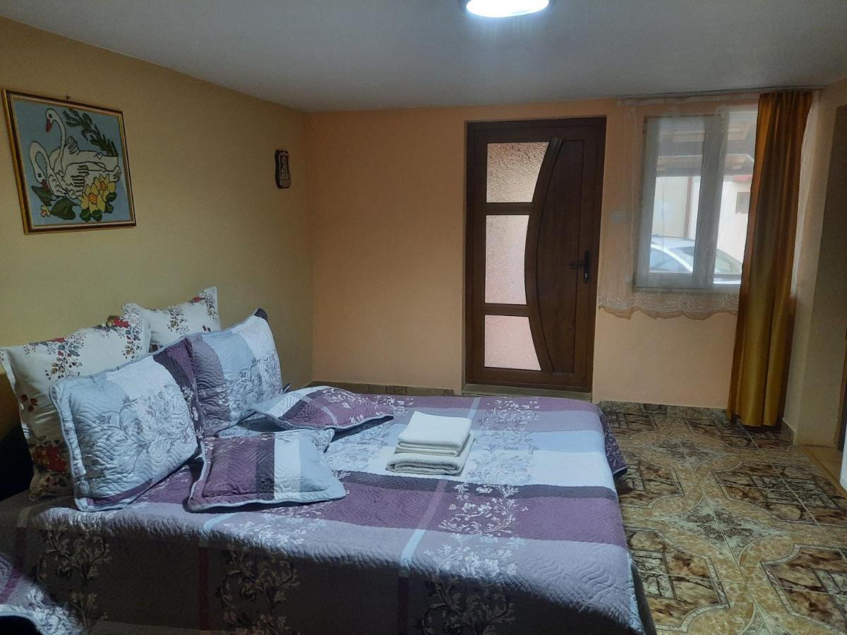 הוילה גורה הומורולווי Casa Andreia מראה חיצוני תמונה