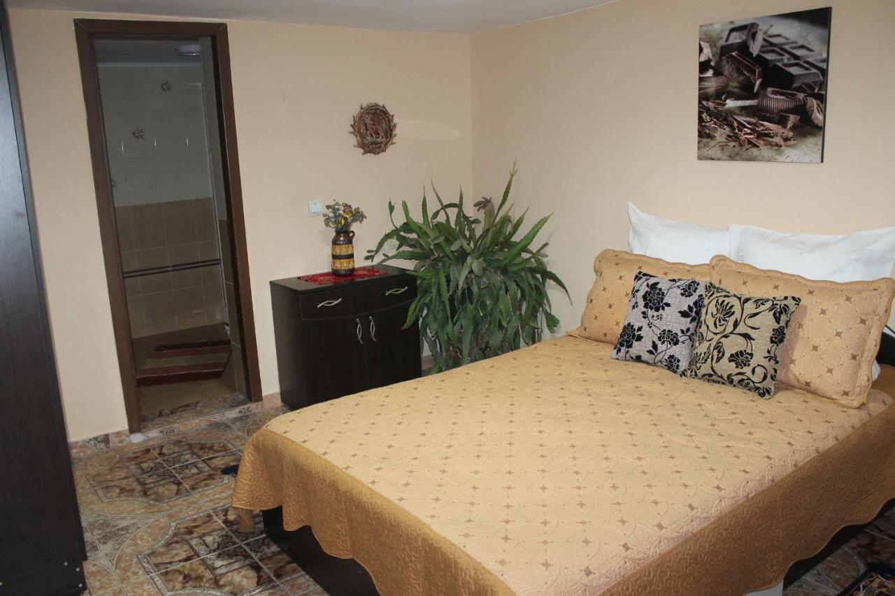 הוילה גורה הומורולווי Casa Andreia מראה חיצוני תמונה